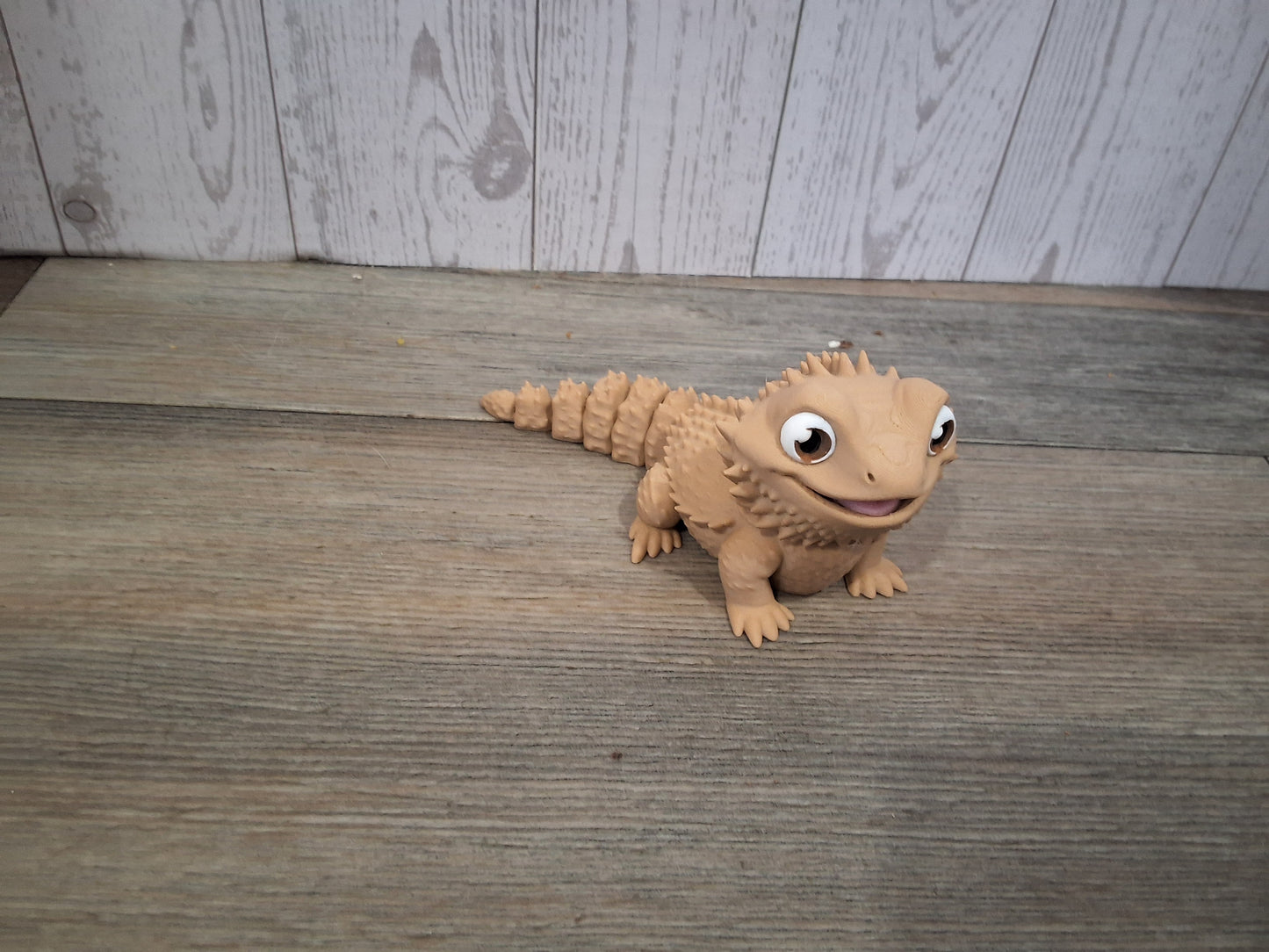 Bearded Dragon