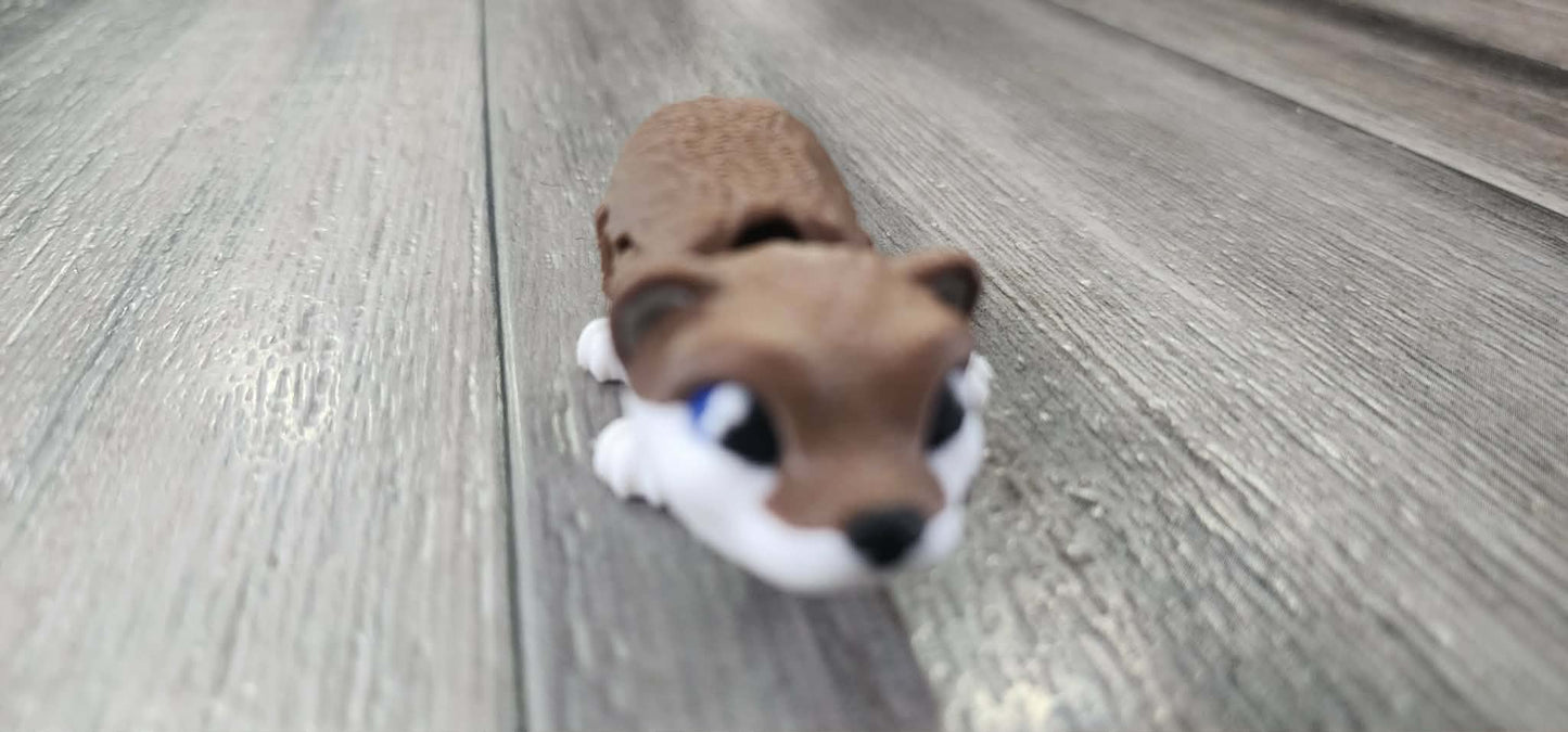 Friendly Otter