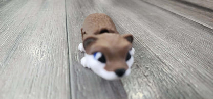 Friendly Otter