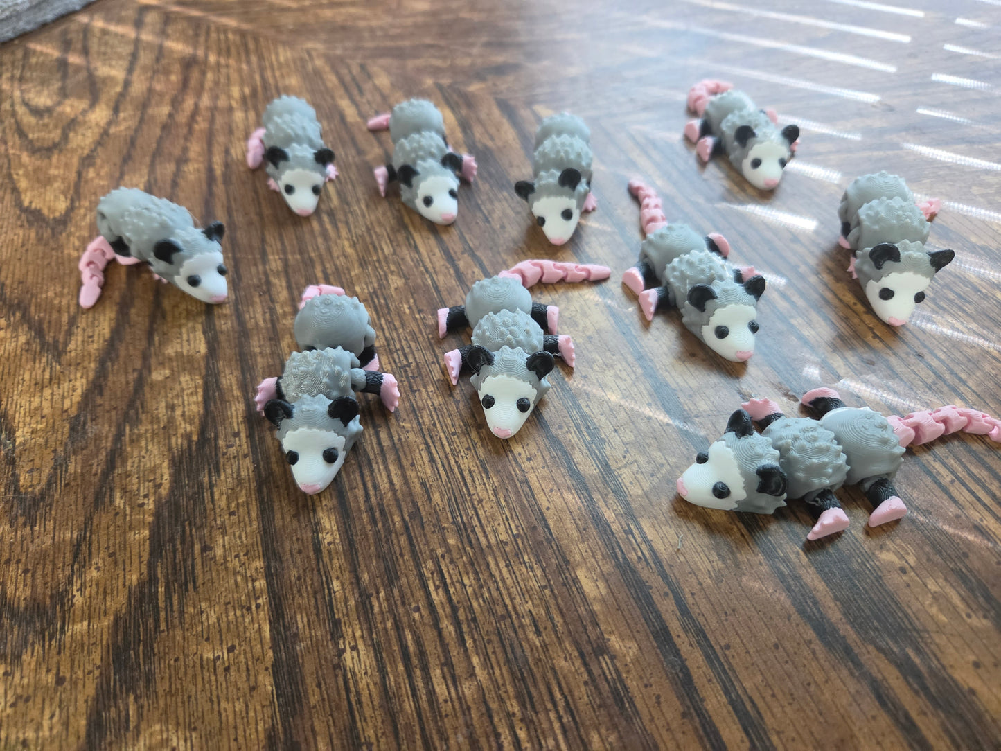 Opossum